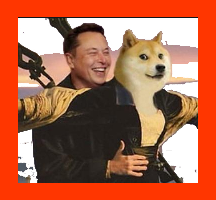 일론 머스크와 도지