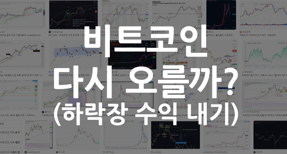 비트코인 다시 오를까
