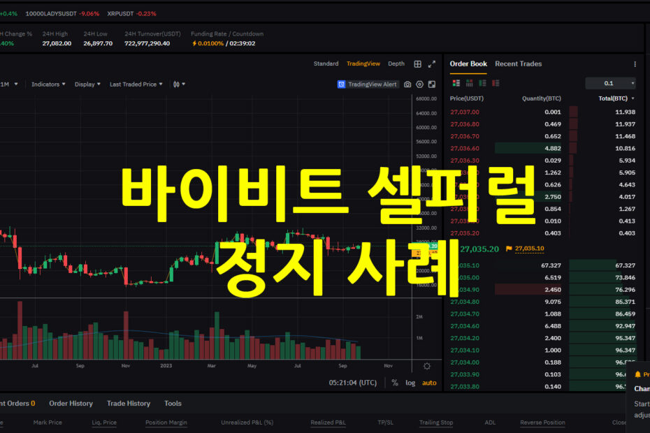 바이비트 셀퍼럴