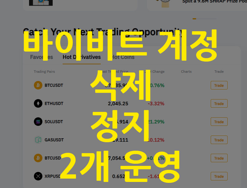 바이비트 계정