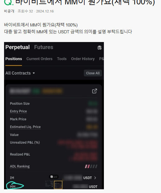 바이비트 mm